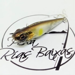 Tubertini DR. F 85 C. 02